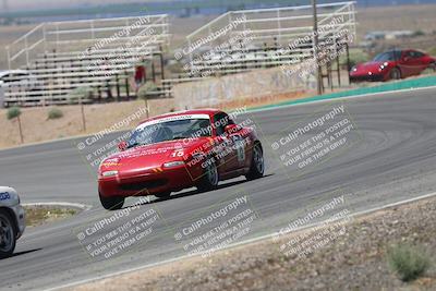 media/May-03-2025-Lucky Dog Racing (Sat) [[206de64b9d]]/Turn 4 B (1150am-130pm)/